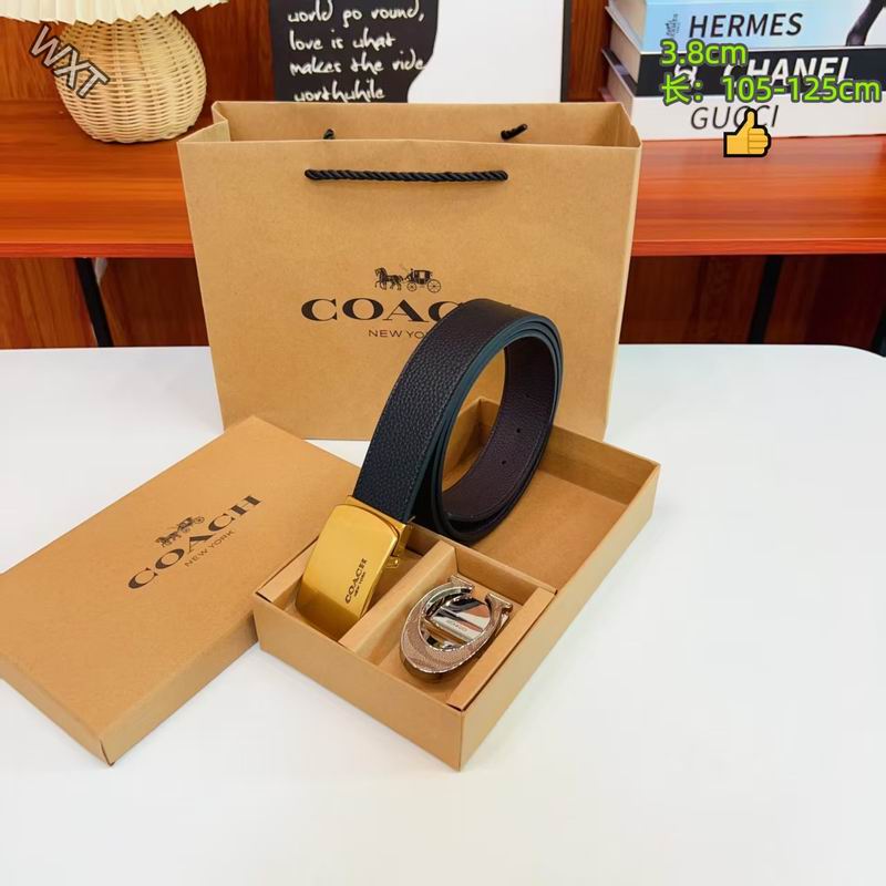 Coach belt 38mmX105-125cm 8L19